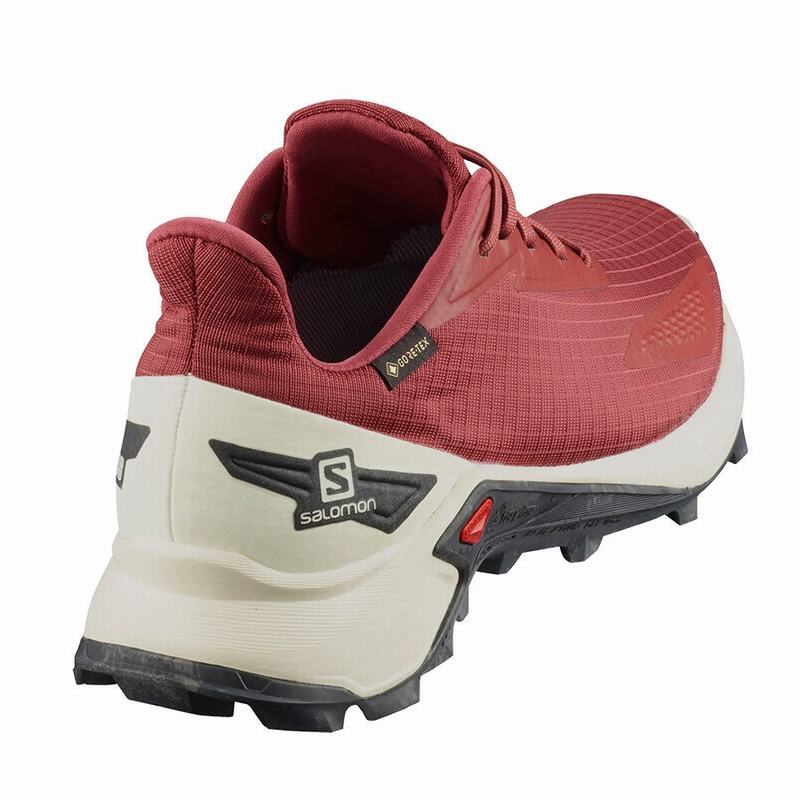 Alphacross blast outlet gtx w